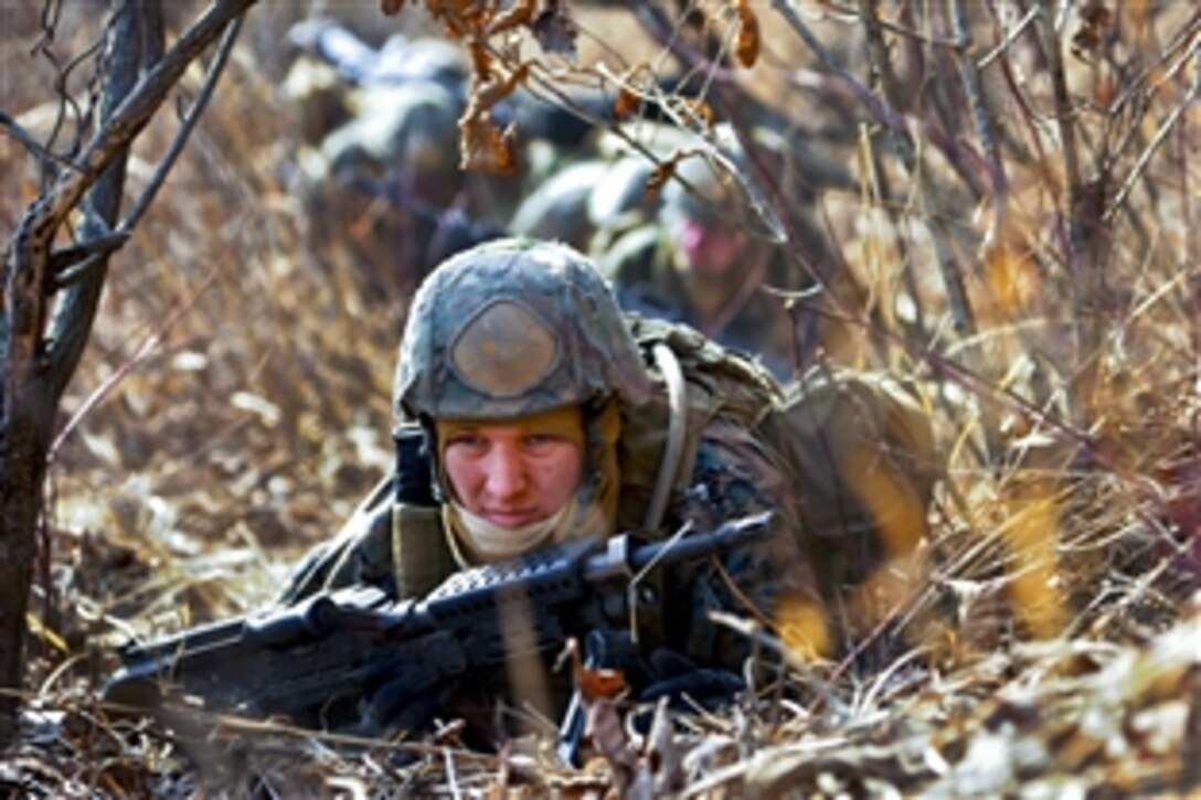 U.S. Marine Corps  Lance Cpl. Brett Mirabella crawls with fellow Marines during a tactical movement exercise on Camp Rodriguez, South Korea, March 3, 2012. Mirabella is assigned to 2nd Company, Fleet Antiterrorism Security Team Pacific.