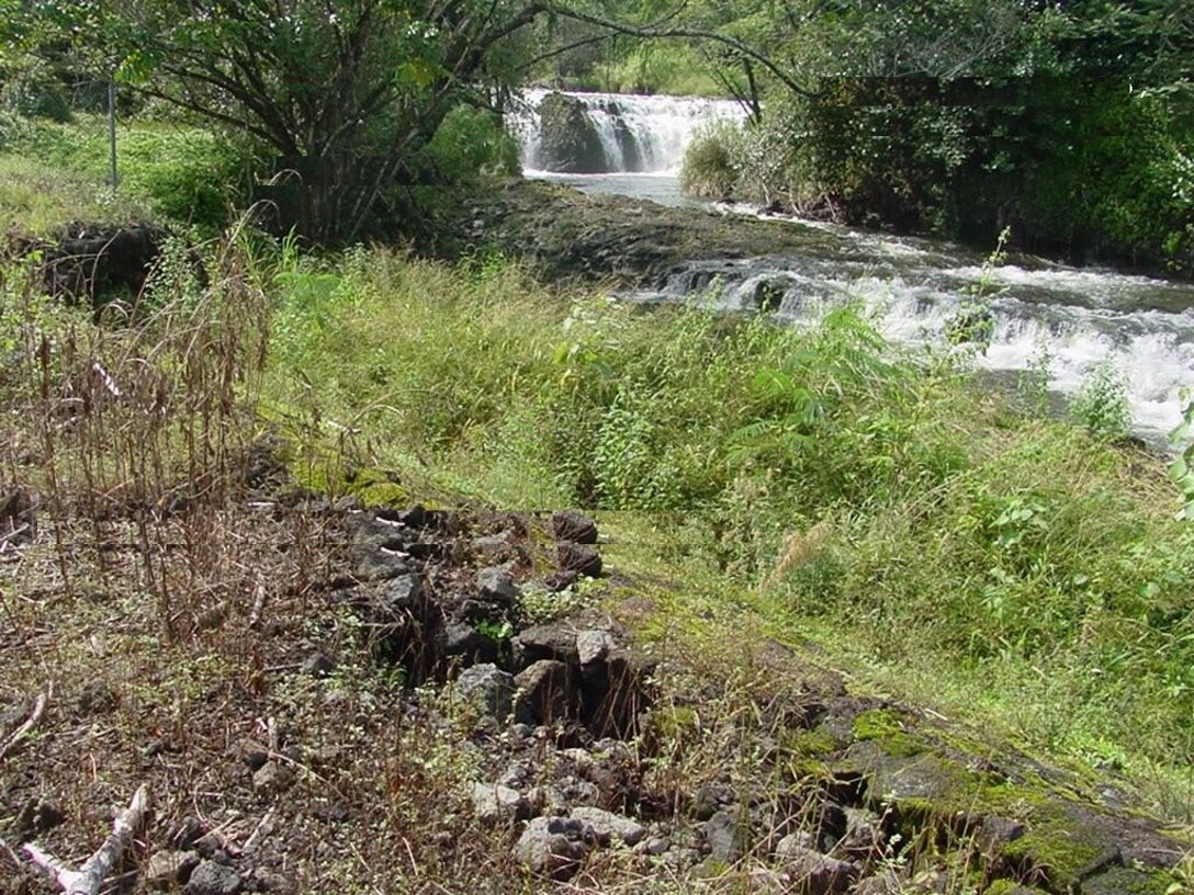 View of diversion levee No. 5 at the Wailoa Stream Flood Control Project.