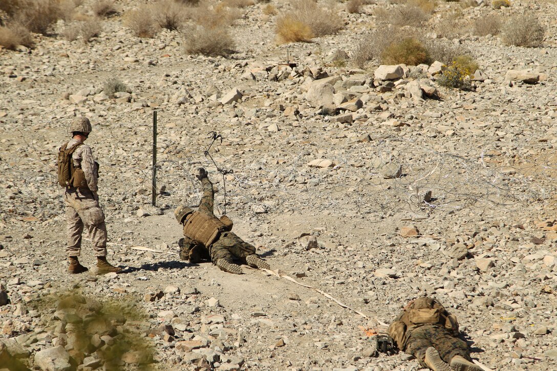 A student with the Infantry Officers’ Course throws a grappling hook to test the razor wire in front of his position for booby traps during live fire training at Range 410A March 15, 2012. The Combat Center is the last stop for this group of Marines during their training to officially become infantry officers.