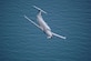 The U-28A provides a manned fixed wing, on-call/surge capability for Improved Tactical Airborne Intelligence, Surveillance, and Reconnaissance (ISR) in support of Special Operations Forces.   
