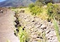 Iao Stream, Maui