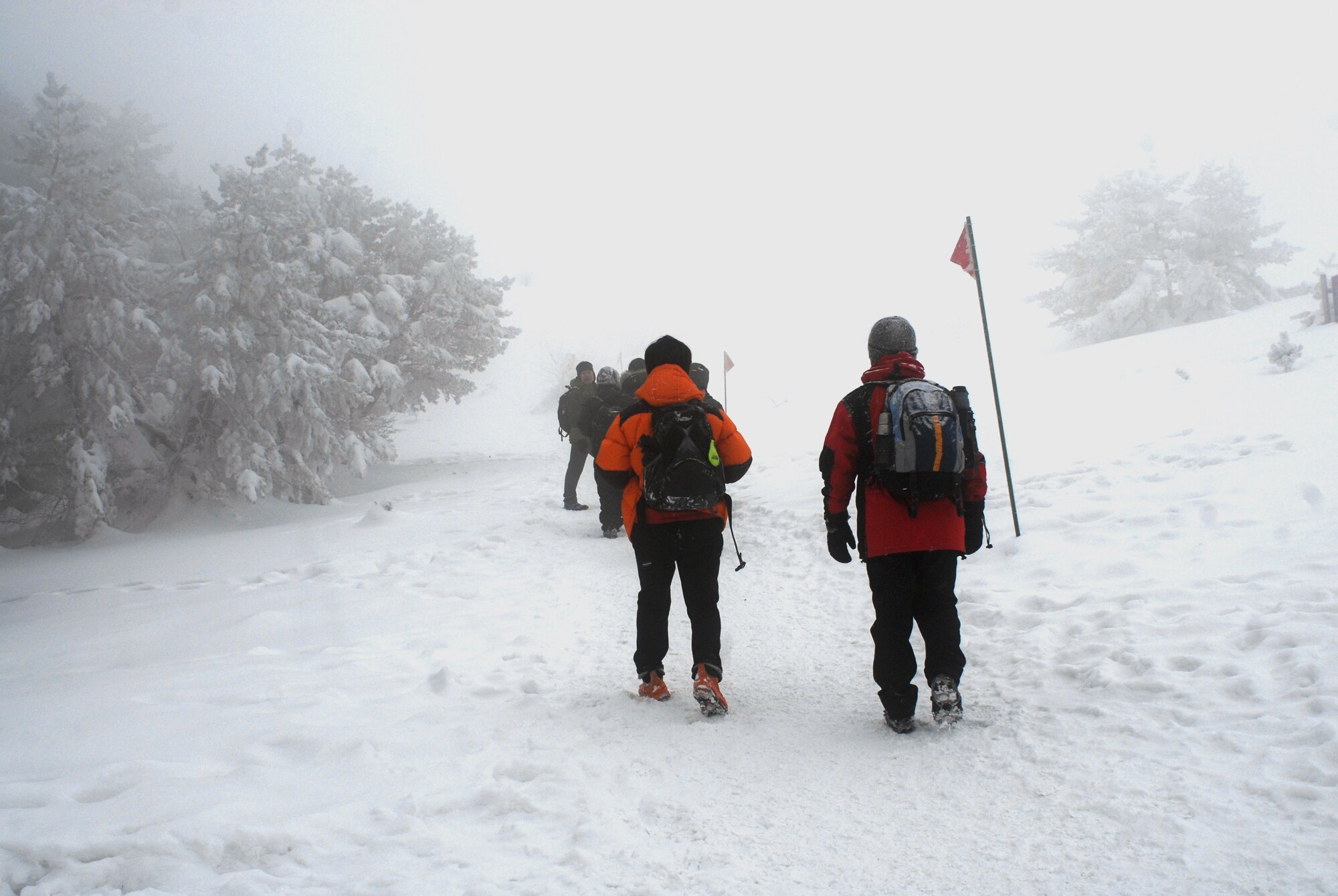 Visitors to Hallasan National Park, Republic of Korea, hike through Eorimok Valley. (U.S. Air Force photo/Staff Sgt. Eric Burks)