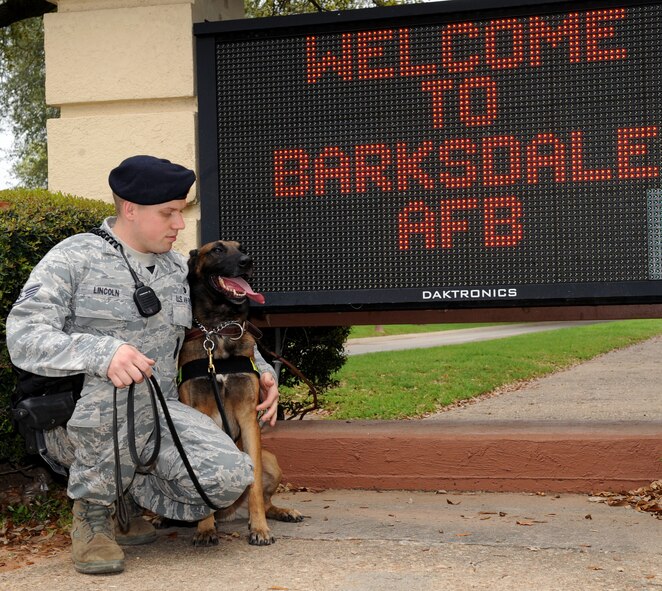 Staff Sgt. Jeffrey Lincoln, 2nd Security Forces Squadron Military Working Dog handler, and his canine Rufus take a short break between vehicle inspections at the main gate on Barksdale Air Force Base, La., March 15. Lincoln and Rufus spend more than 60 hours together throughout the week training, performing vehicle searches, responding to calls and patrolling the base and flightline. (U.S. Air Force photo/Senior Airman Amber Ashcraft) (RELEASED)