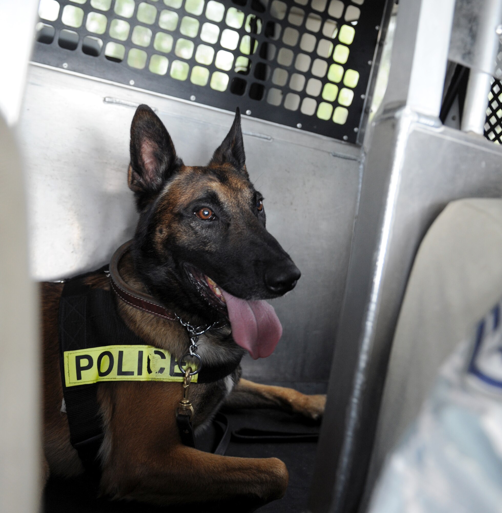 Rufus, a Military Working Dog, rides along in a police vehicle on Barksdale Air Force Base, La., March 15. Staff Sgt. Jeffrey Lincoln, 2nd Security Forces Squadron MWD handler, and Rufus spend more than 60 hours together throughout the week training, performing vehicle searches, responding to calls and  patrolling the base and flightline. (U.S. Air Force photo/Senior Airman Amber Ashcraft) (RELEASED)