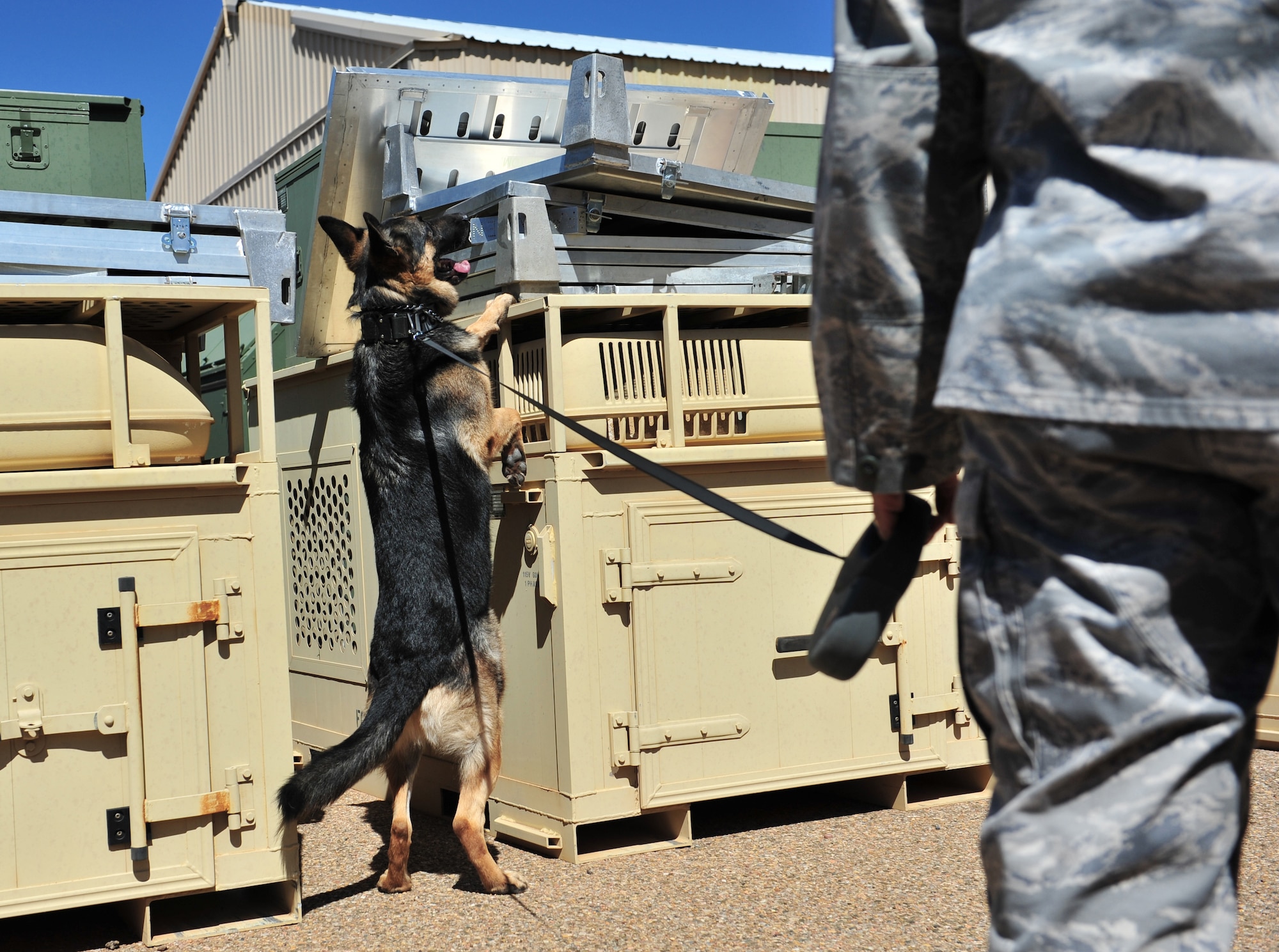 U.S. Air Force Staff Sgt. Steven Perez, 27th Special Operations Security Forces Squadron military working dog handler, performs a detection exercise with his K-9 unit near a warehouse at Cannon Air Force Base, N.M., March 15, 2012. All K-9 units assigned to Cannon are dual purpose patrol and detections canines responsible for protecting base personnel and resources. (U.S. Air Force photo by Airman 1st Class Alexxis Pons Abascal)