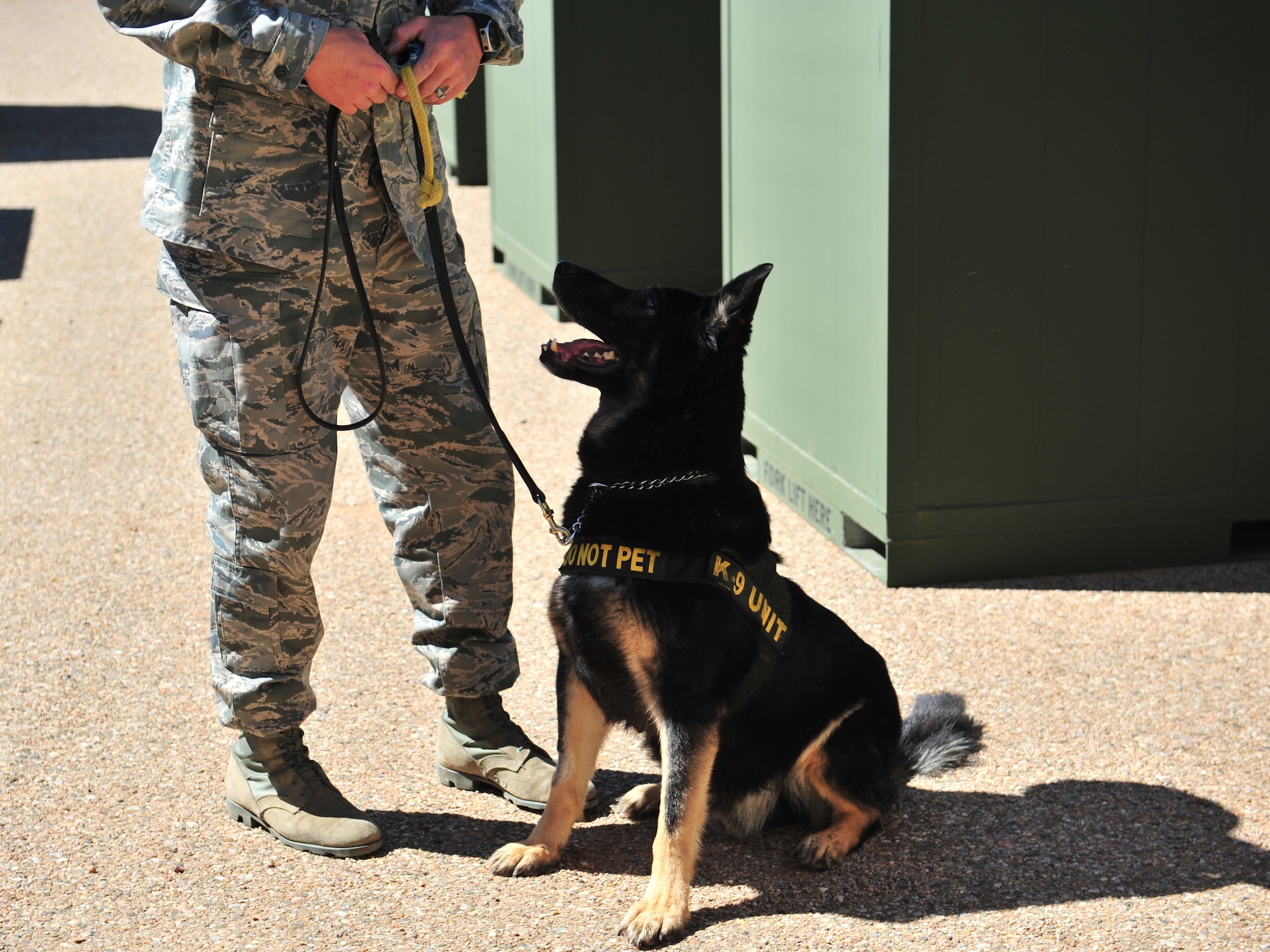 U.S. Air Force Staff Sgt. Adam Wylie, 27th Special Operations Security Forces Squadron military working dog handler, prepares to reward K-9 unit Dino K014 with a rubber Kong chew toy for locating a training aid at Cannon Air Force Base, N.M., March 15, 2012. Training aids can either be drugs or explosives based on what the dog?s certifications are. (U.S. Air Force photo by Airman 1st Class Alexxis Pons Abascal)