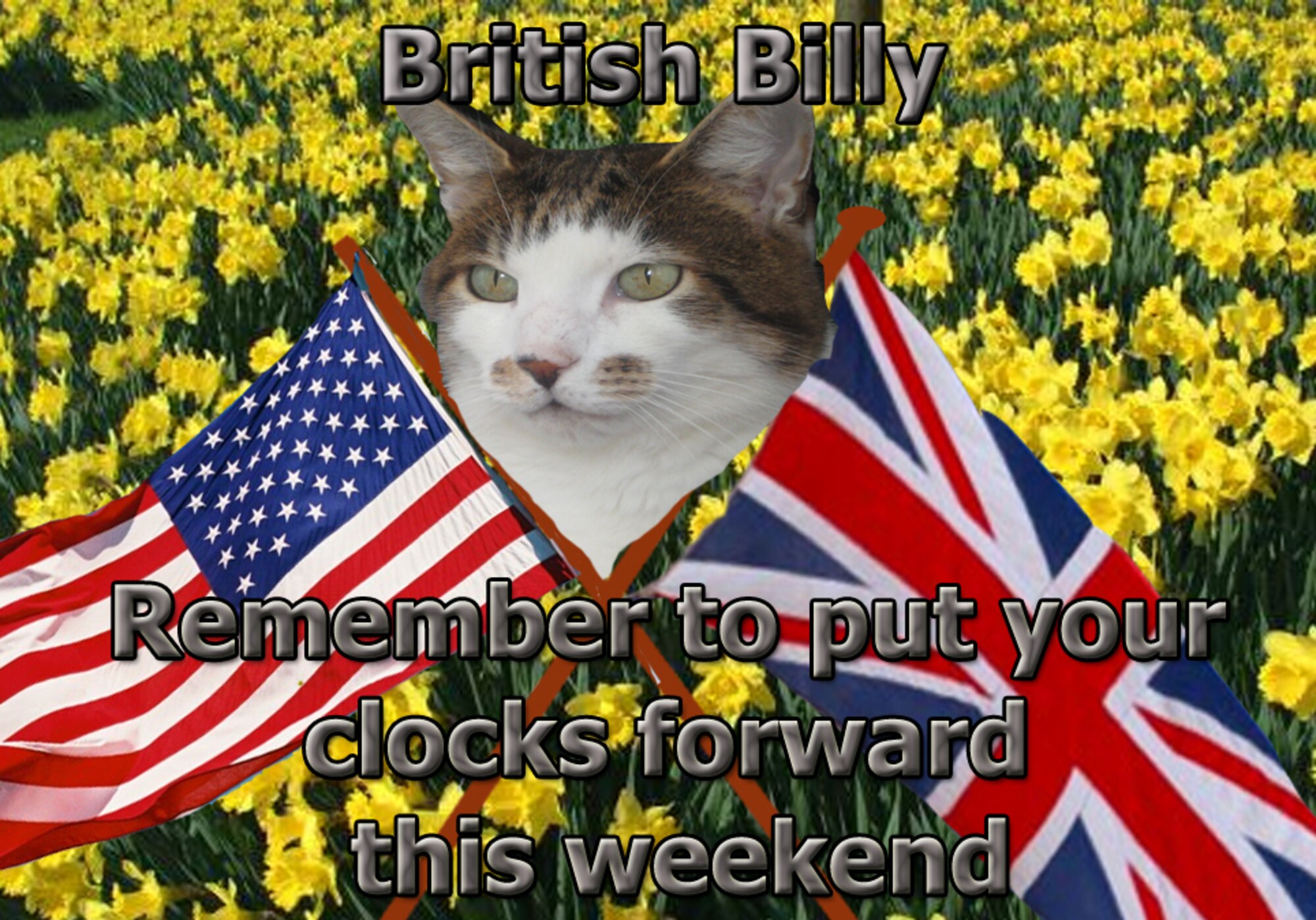 In all the excitement, don’t forget to set your clocks forward by one hour March 25, officially the start of British Summer Time. We may be losing an hour, but with extra daylight in the evenings and a long summer ahead, there’s plenty to look forward to after the clocks change. Ask Billy about the things puzzling about about life and culture in the U.K., and if he doesn’t know the answer, he has ways and means of finding out. Feel free to send him any questions, and when he isn’t sleeping or hunting, he’ll try and put a few thoughts together to help you out.