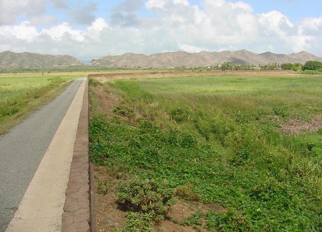 View from Station 0+00 at Kawainui Marsh. The 740-acre marsh drains an 11 square mile area of the Koolau Mountains.