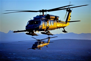 PAVE HAWK DUET