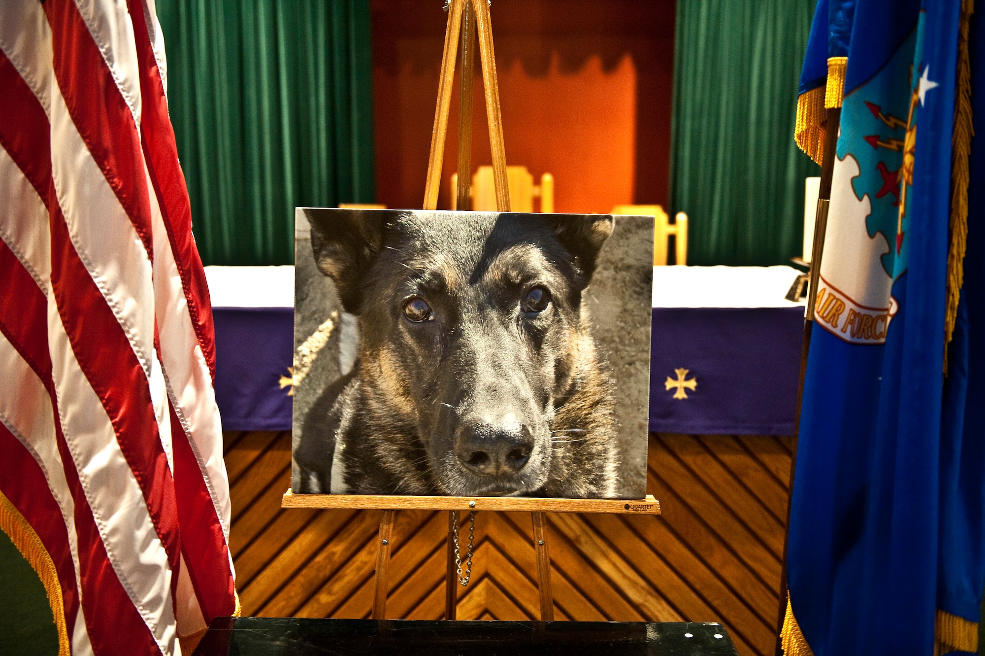 A photo of Rony, a deceased military working dog from the 1st Special Operations Security Forces Squadron, is on display during a memorial ceremony at the base chapel on Hurlburt Field, Fla., March 16, 2012. Rony, who served Hurlburt Field for more than seven-and-a-half years, was euthanized March 7, 2012 to alleviate suffering from enduring cancer and recent internal bleeding. (U.S. Air Force photo/Airman 1st Class Christopher Williams)(Released)