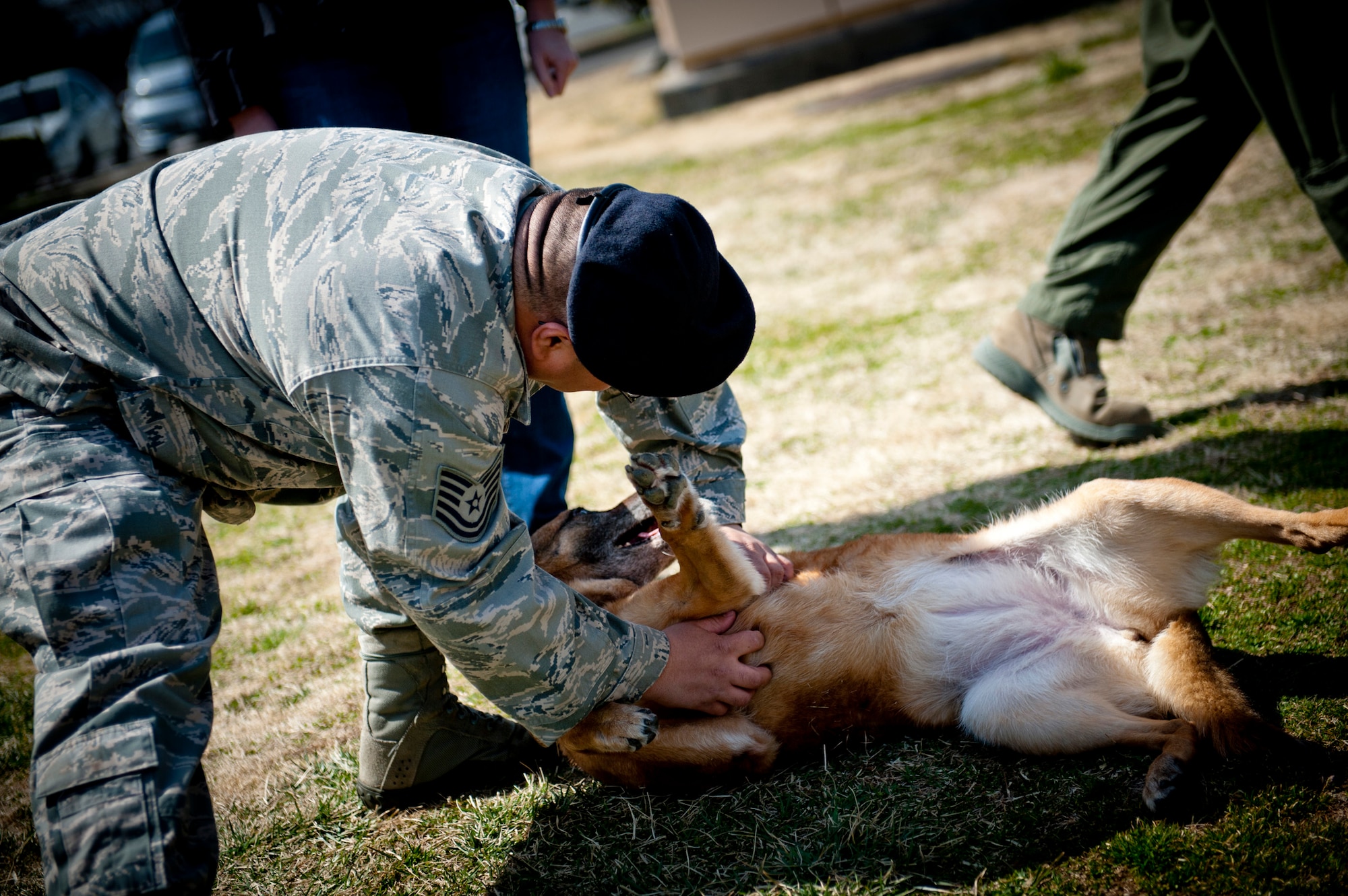 YOKOTA AIR BASE, Japan -- Tech. Sgt. Raymond Castro, 374th Security Forces Squadron military working dog section NCO in charge, gives one last belly rub to Elra following her retirement ceremony as a military working dog at Yokota Air Base, Japan, March 20, 2012. Castro said Elra was "able to be the meanest dog on command, but the sweetest when she wanted your affection." (U.S. Air Force photo/Staff Sgt. Samuel Morse)