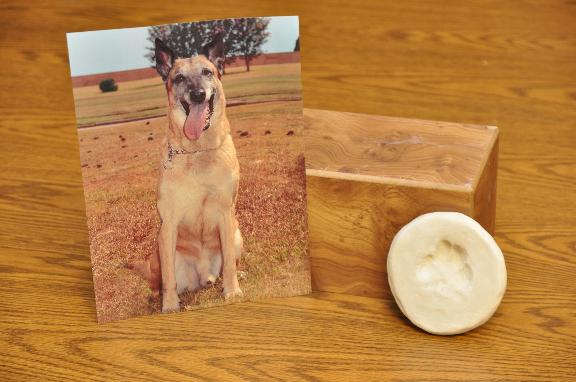 A picture of military working dog Arko, along with his ashes and a paw-print rest at the Columbus Air Force Base kennels. MWD Arko E009 had been assigned to Columbus AFB since 2005 and completed seven deployments to the Middle East. (U.S. Air Force photo/Airman 1st Class Charles Dickens)