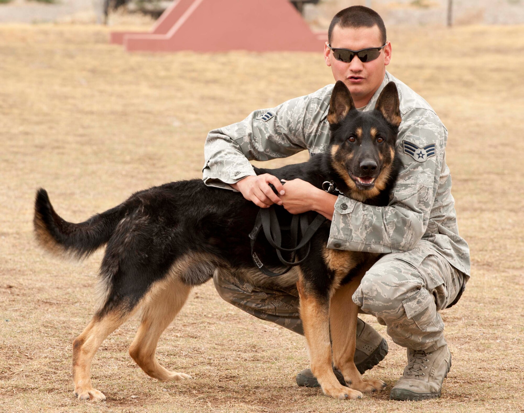 HOLLOMAN AIR FORCE BASE, N.M. - Senior Airman Travis Beatty, 49th Security Forces Squadron military working dog handler, holds his K-9 Beci, a 2-year-old MWD, before starting a decoy training class March 20. MWDs are used throughout the military to detect explosive devices and illegal narcotics and assist during patrol on military installations worldwide. (U.S. Air Force photo by Airman Leah Ferrante/Released)
