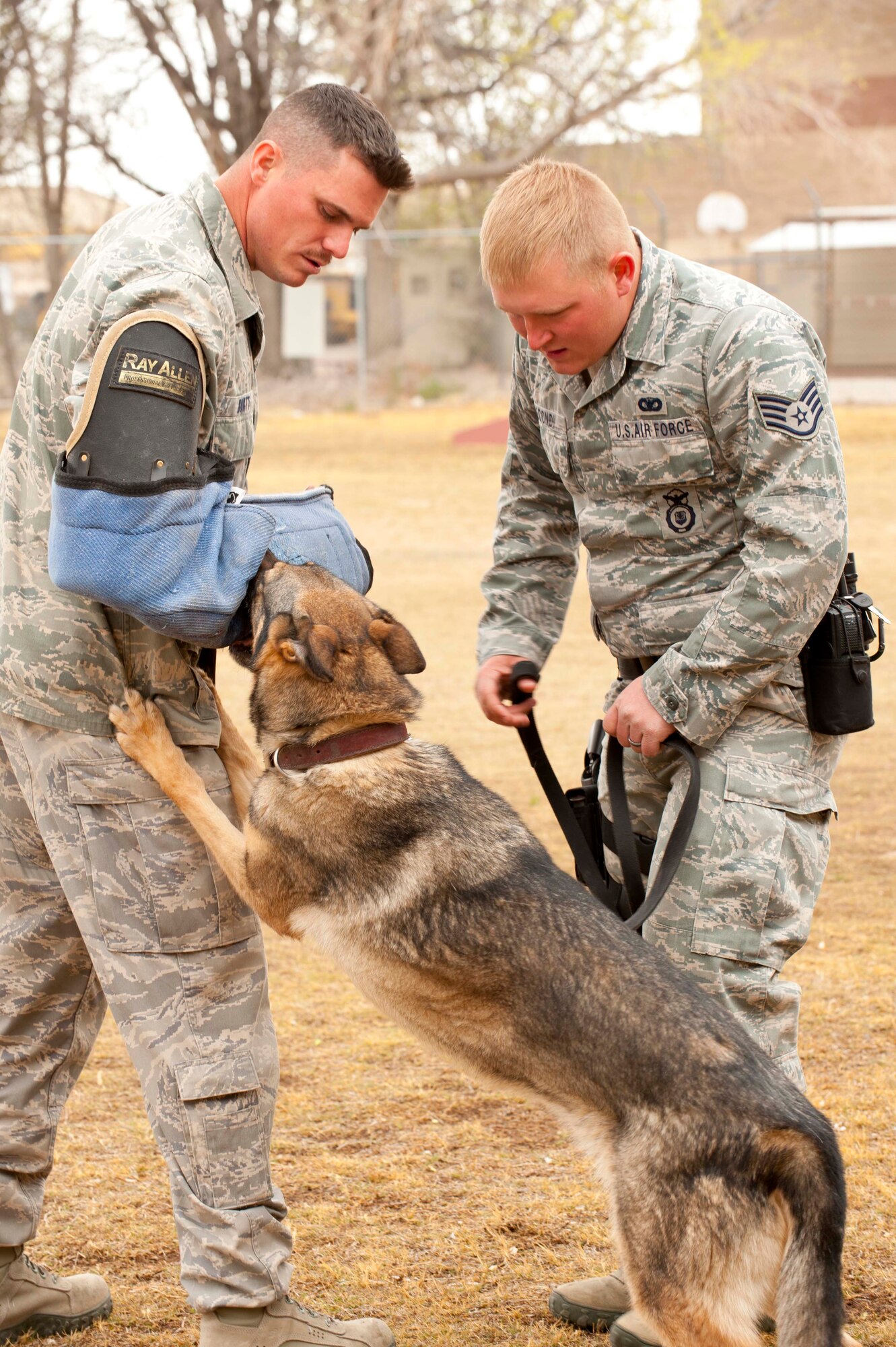 HOLLOMAN AIR FORCE BASE, N.M. - Staff sergeants Zachary Burtt and Christopher Secondi, 49th Security Forces Squadron military working dog handlers, demonstrate proper release procedures with Esta during a decoy training class March 20. Burtt wears a protective sleeve on his arm that protects him when Esta attacks. MWDs are used throughout the military to detect explosive devices and illegal narcotics and assist during patrol on military installations worldwide. (U.S. Air Force photo by Airman Leah Ferrante/Released)
