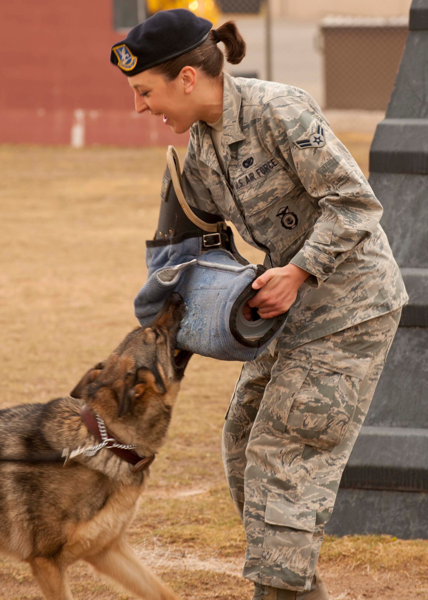 HOLLOMAN AIR FOCE BASE, N.M. -- Esta, a 7-year-old military working dog with the 49th Security Forces Squadron, latches on to a protective sleeve worn by Airman 1st Class Michele Tibor, as she acts as a decoy during a training class March 20. MWDs are used throughout the military to detect explosive devices and illegal narcotics and assist during patrol on military installations worldwide. (U.S. Air Force photo by Airman Leah Ferrante/Released)   