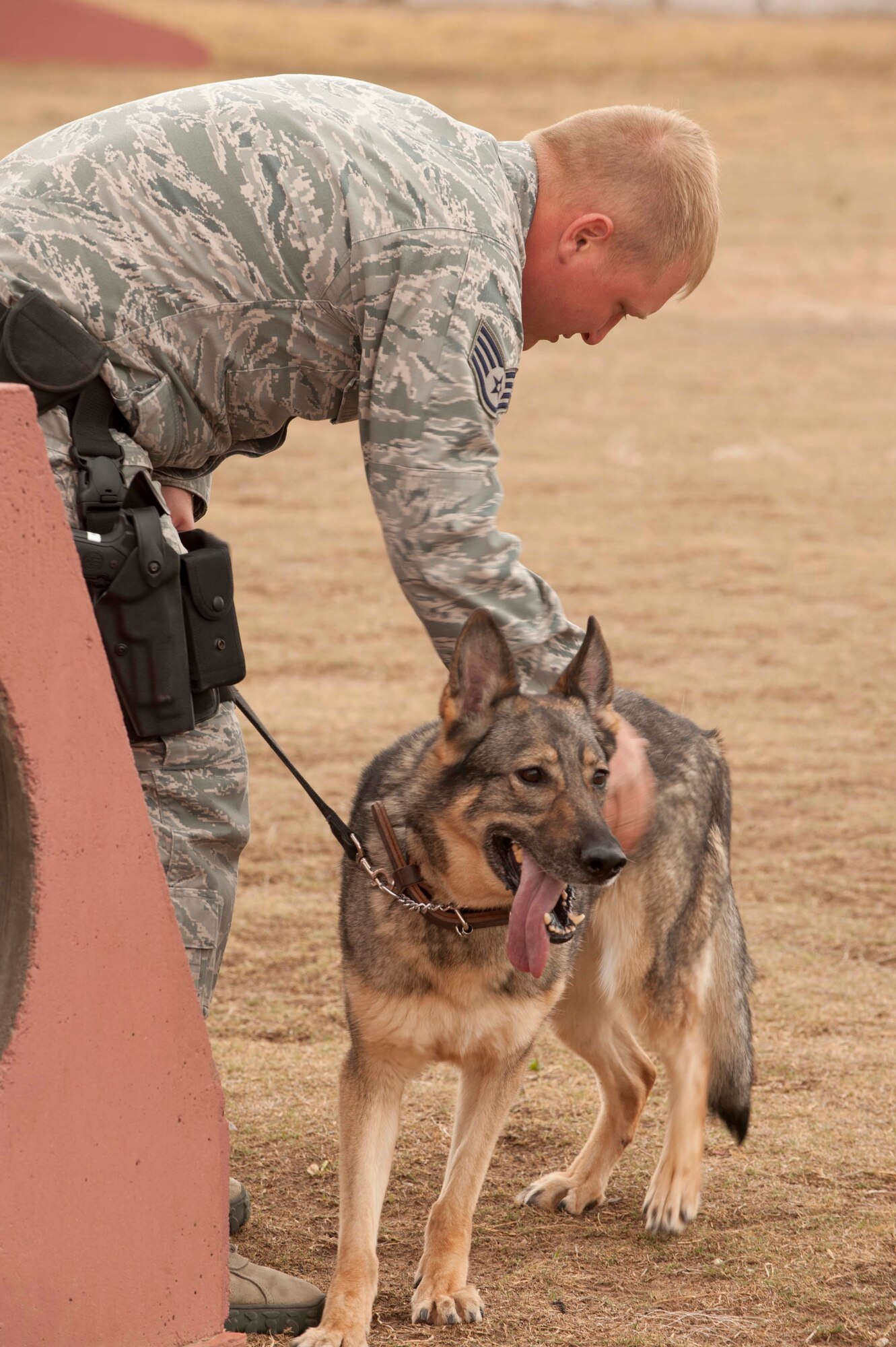 HOLLOMAN AIR FORCE BASE, N.M. -- Staff Sgt. Christopher Secondi, 49th Security Forces Squadron, calms his partner Esta during a decoy training class March 20. The class teaches Airmen proper decoy and safe dog handling procedures. MWDs are used throughout the military to detect explosive devices and illegal narcotics and assist during patrol on military installations worldwide. (U.S. Air Force photo by Airman Leah Ferrante/Released)