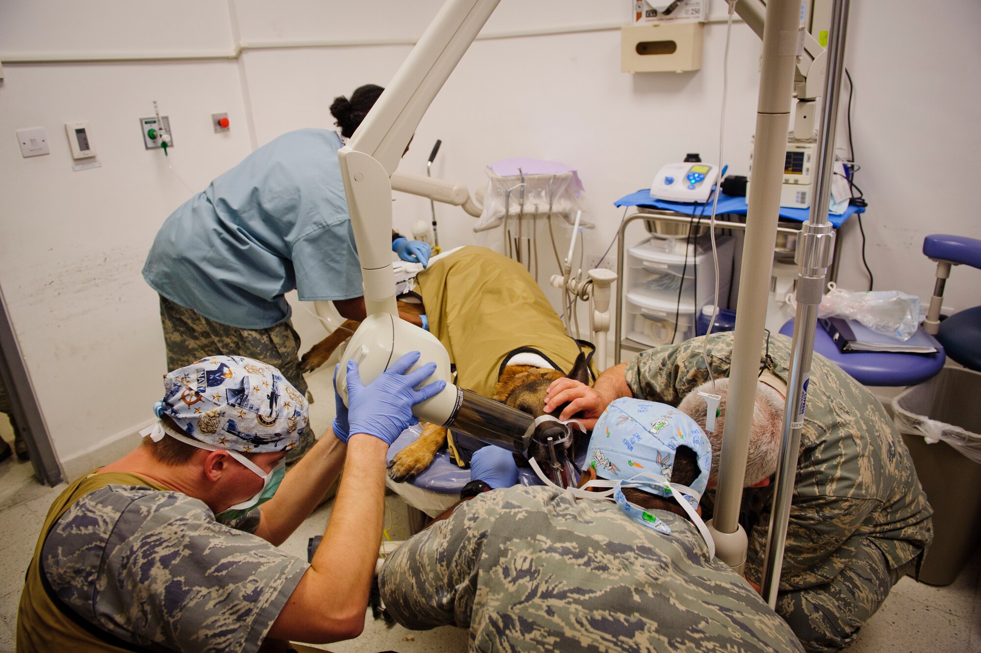 SOUTHWEST ASIA – A dental team from the 379th Expeditionary Medical Group takes x-rays of Roy’s mouth here March 15, 2012. (U.S. Air Force photo/Staff Sgt. Nathanael Callon)
