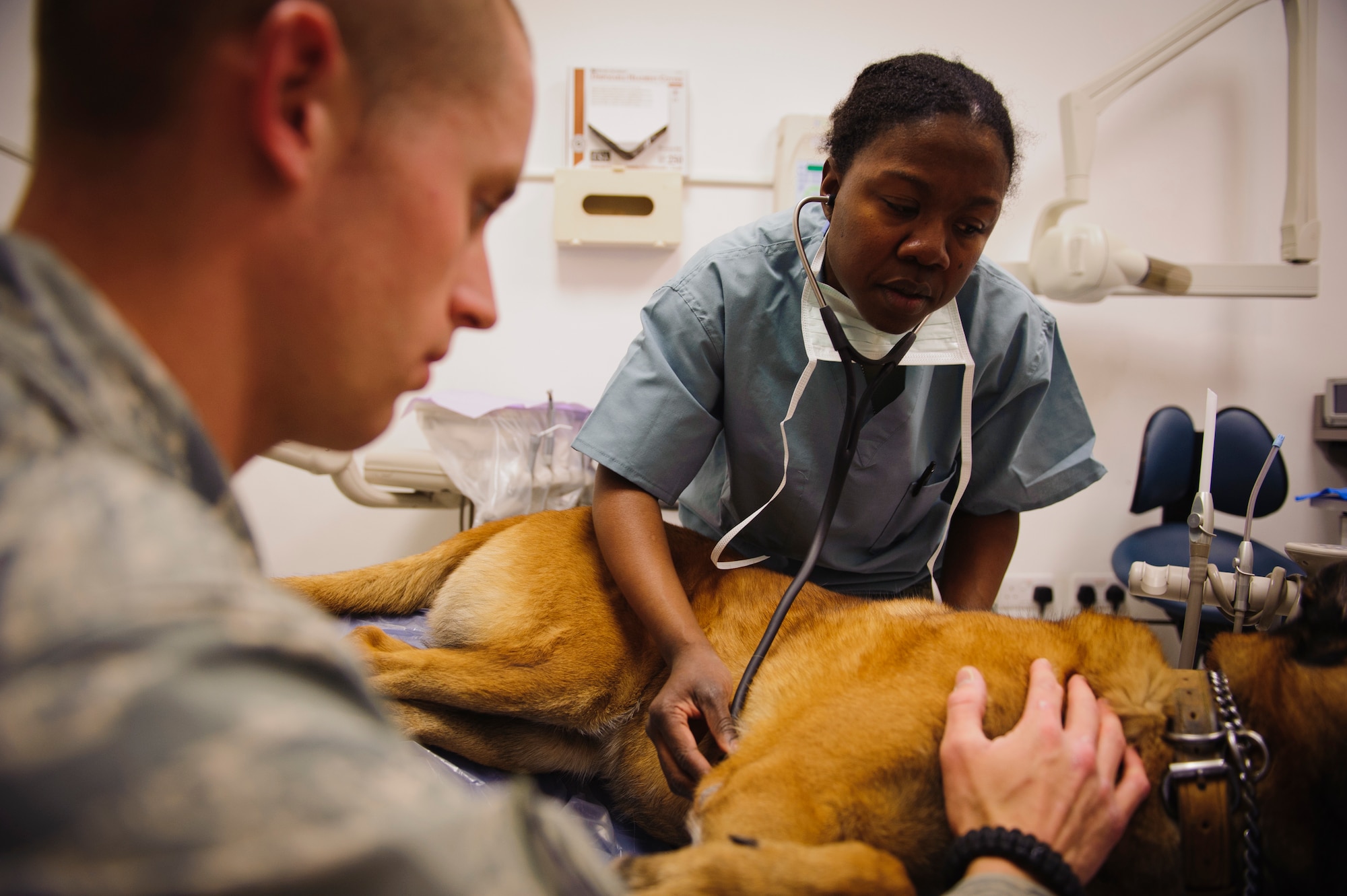 SOUTHWEST ASIA – U.S. Army 1st Lt. Maria Harris, 422nd Medical Detachment Veterinary Services veterinarian, checks Roy’s vitals as U.S. Air Force Staff Sgt. Joel Brooks, 405th Expeditionary Security Forces Squadron dog handler, comforts him here March 15, 2012. (U.S. Air Force photo/Staff Sgt. Nathanael Callon) 
