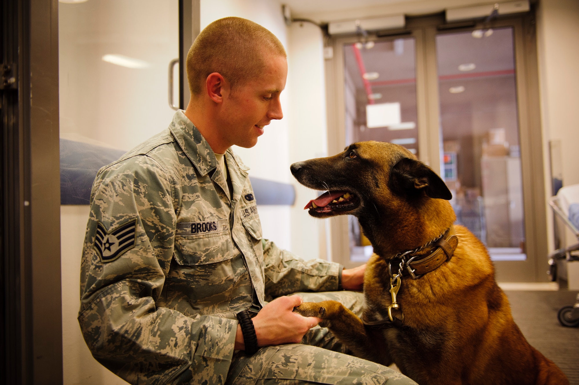 SOUTHWEST ASIA – Roy, an eight-year-old Belgian Malinois military working dog, seeks comfort from his handler, U.S. Air Force Staff Sgt. Joel Brooks, 405th Expeditionary Security Forces Squadron dog handler, before going in for a tooth filling here March 15, 2012. (U.S. Air Force photo/Staff Sgt. Nathanael Callon) 