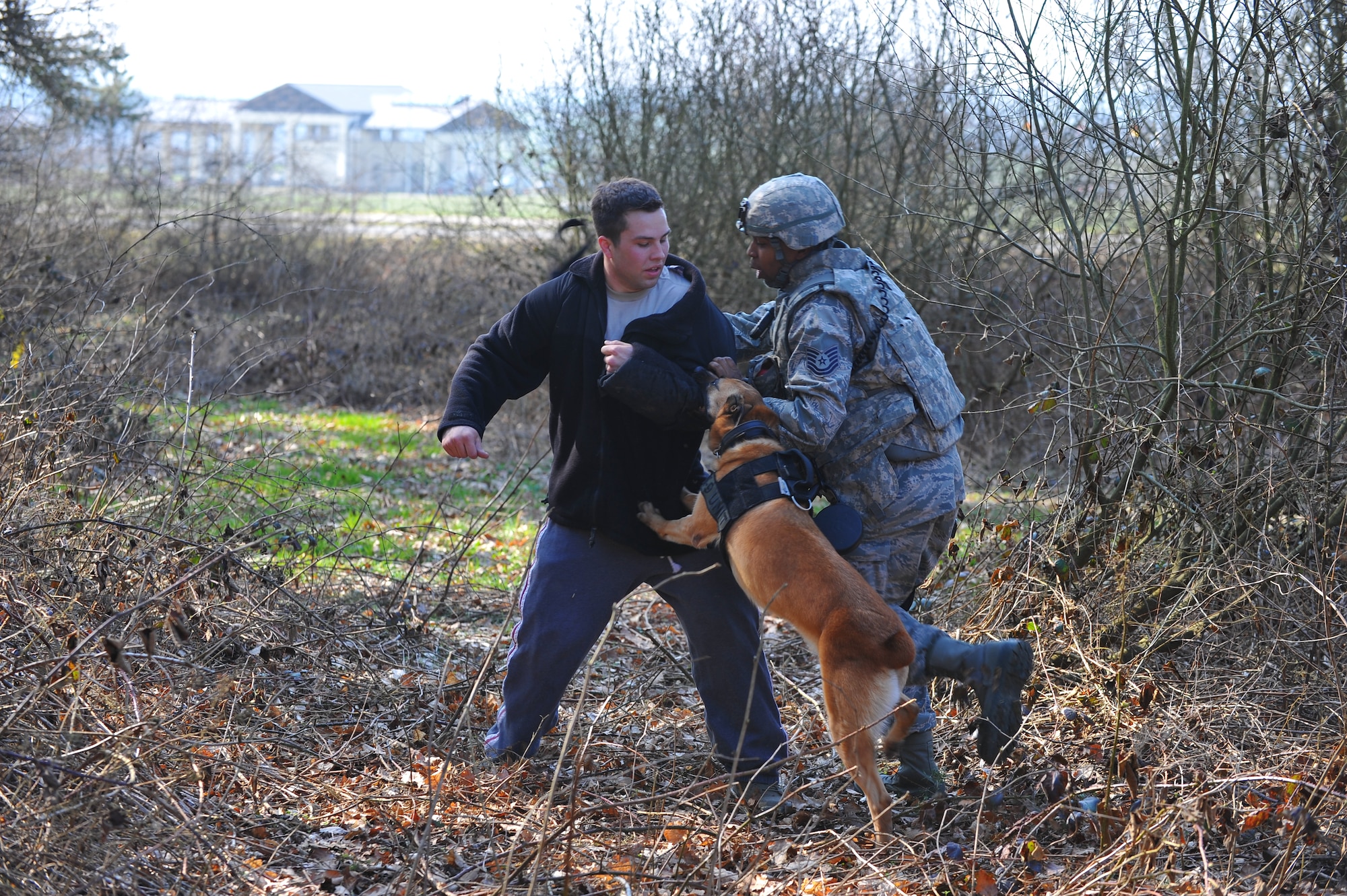 SPANGDAHLEM AIR BASE, Germany – Tech. Sgt. Michael Thomas, 52nd Security Forces Squadron military working dog handler, and his dog, Sonna, apprehend simulated suspect Senior Airman Kyle Kottas, 52nd SFS, during an anti-robbery exercise outside veterinarian clinic here March 23. The exercise tested the emergency response skills of security forces members and military working dogs by ensuring Airmen are prepared to protect people and resources during real-world situations. (U.S. Air Force photo by Airman 1st Class Dillon Davis/Released)