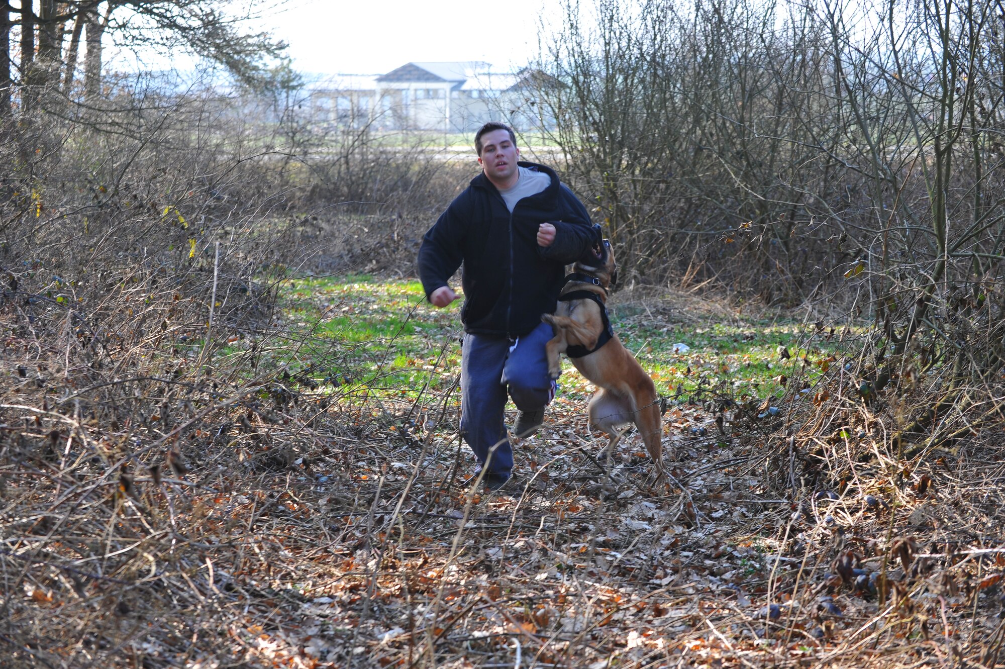 SPANGDAHLEM AIR BASE, Germany – Military working dog, Sonna, bites simulated suspect Senior Airman Kyle Kottas, 52nd Security Forces Squadron, during an anti-robbery exercise outside veterinarian clinic here March 23. The exercise tested the emergency response skills of security forces members and military working dogs by ensuring Airmen are prepared to protect people and resources during real-world situations. (U.S. Air Force photo by Airman 1st Class Dillon Davis/Released) 
