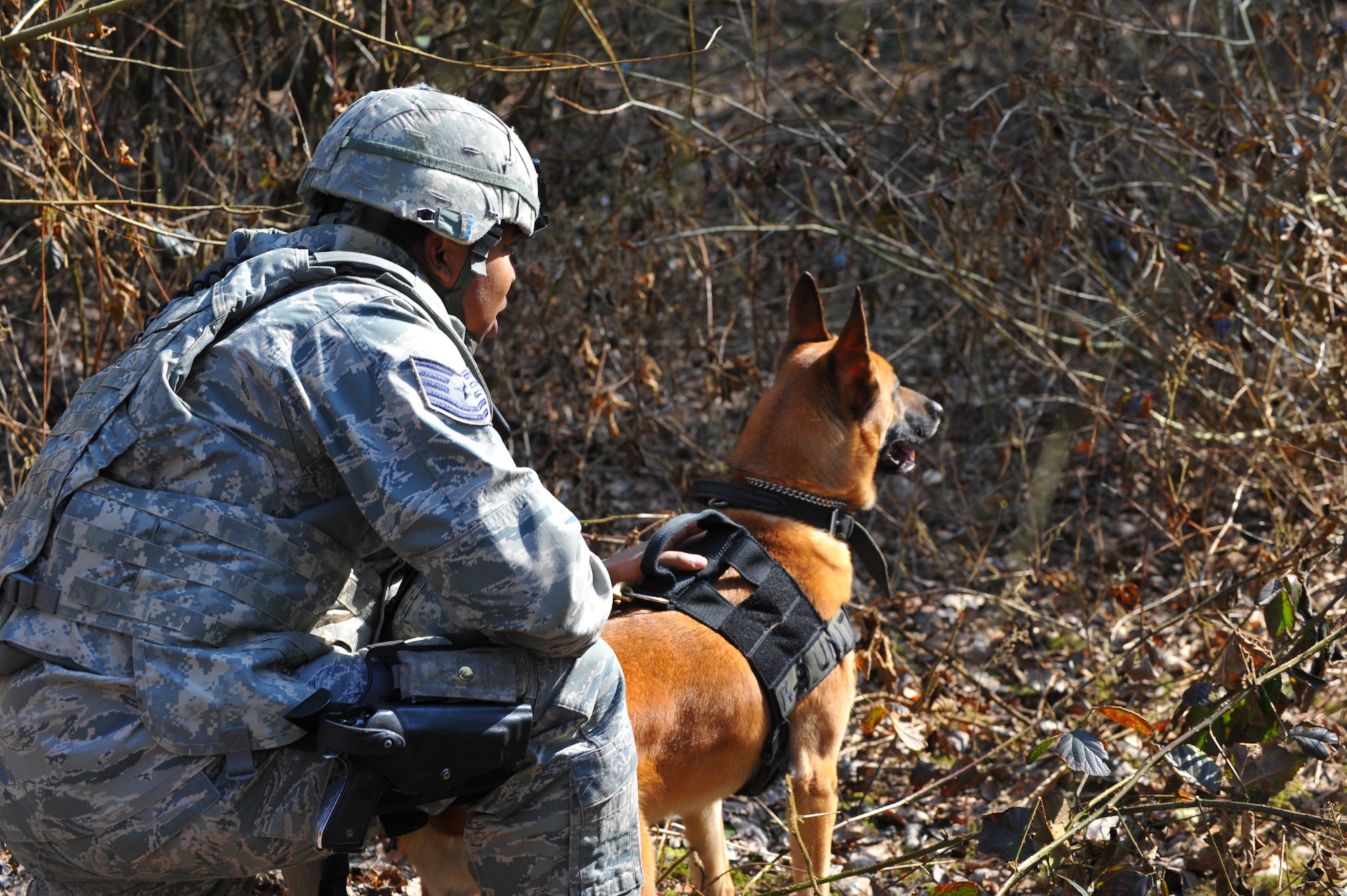 SPANGDAHLEM AIR BASE, Germany – Tech. Sgt. Michael Thomas, 52nd SFS military working dog handler, and his dog, Sonna, search for a suspect during an anti-robbery exercise outside the veterinarian clinic here March 23. The exercise tested the emergency response skills of security forces members and military working dogs by ensuring Airmen are prepared to protect people and resources during real-world situations. (U.S. Air Force photo by Airman 1st Class Dillon Davis/Released)