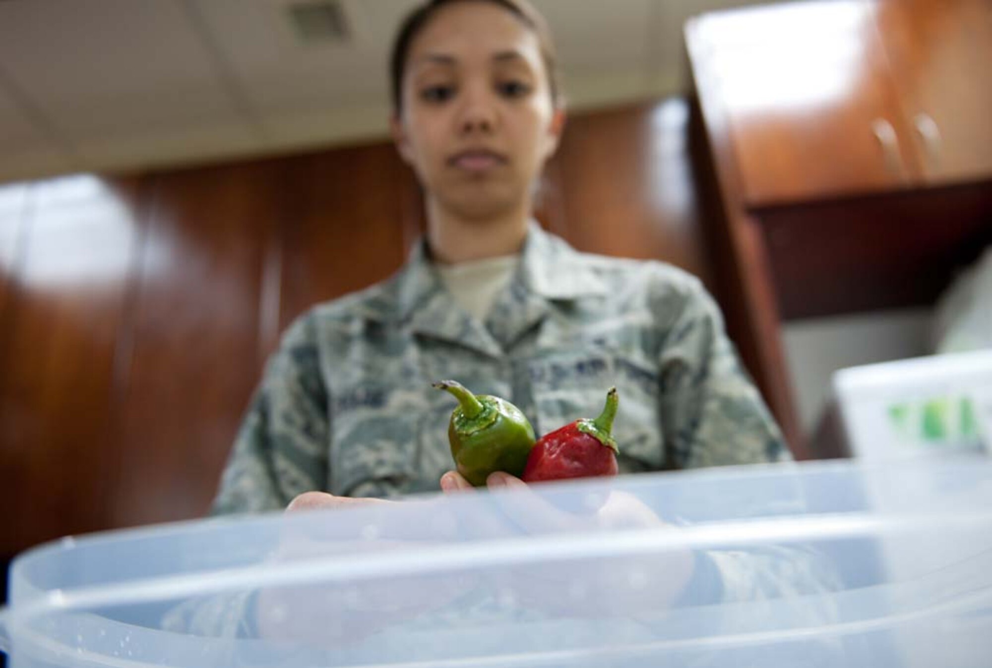Senior Airman Blanche Shade, 39th Medical Operations Squadron public health technician, demonstrates how to properly wash vegetables during the Health Expo March 23, 2012, at Incirlik Air base, Turkey. The Health Expo allowed the Health and Wellness Center staff to showcase their various programs and services. (U.S. Air Force photo by Senior Airman Jarvie Z. Wallace/Released)