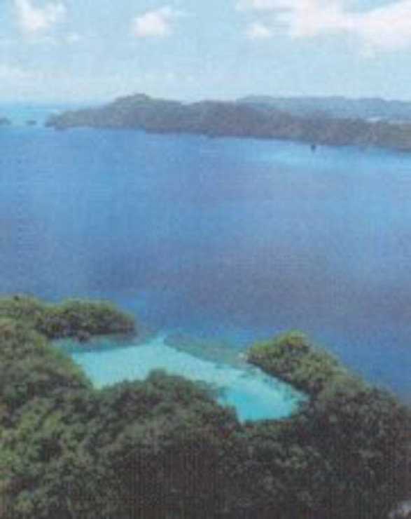 Palau Compact Road