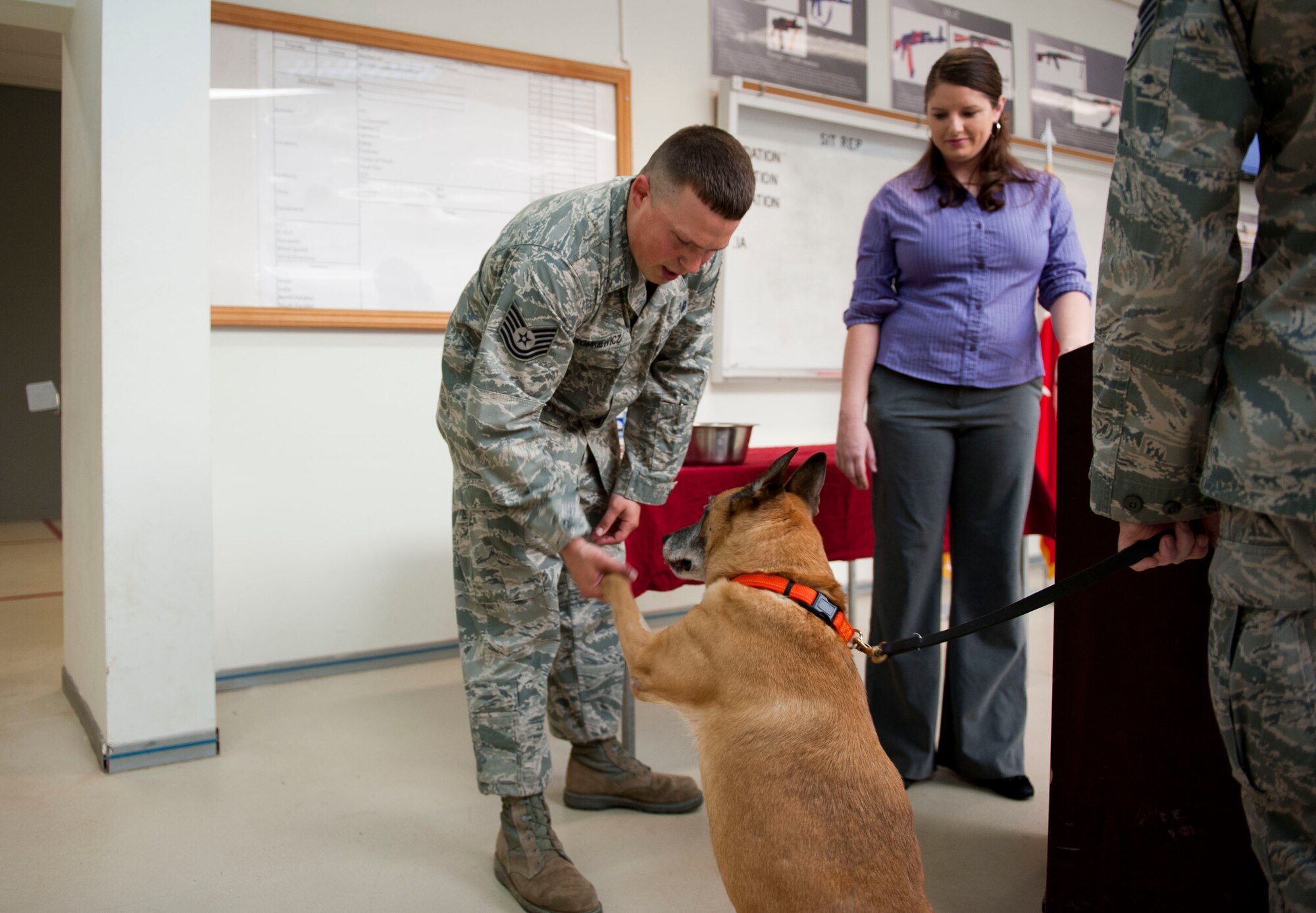 Tech. Sgt. Jeffrey Tomkiewicz, 39th Security Forces Squadron kennel master, plays with Max, a military working dog, March 23, 2012, in the 39th SFS guardmount room at Incirlik Air Base, Turkey before the dog's retirement ceremony. Max retired because of deteriorating health conditions caused by age. Max moved in with his adopted owners, the Ball family, a few weeks ago while the squadron planned his formal retirement. (U.S. Air Force photo by Senior Airman William A. O'Brien/Released)