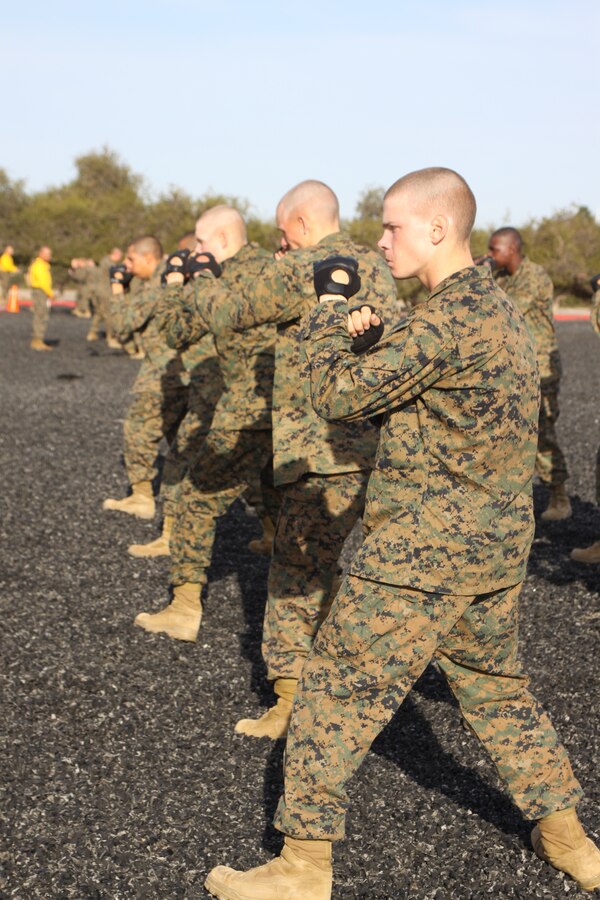 Company F recruits wait in a warrior stance for their next period of instruction March 28 while testing out for their tan belt aboard Marine Corps Recruit Depot San Diego. Now that Co. F has reached third phase their drill instructors are confident that their recruits have retained the proper techniques demonstrate any tan belt move.