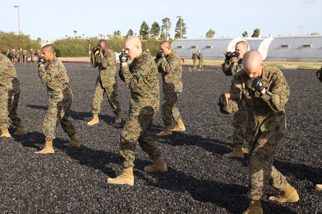 Company F recruits wait in a warrior stance to demonstrate blank March 28 while testing out for their tan belt aboard Marine Corps Recruit Depot San Diego. Once recruits reach third phase their drill instructors expect the recruits to be able to apply any tan belt move if asked.