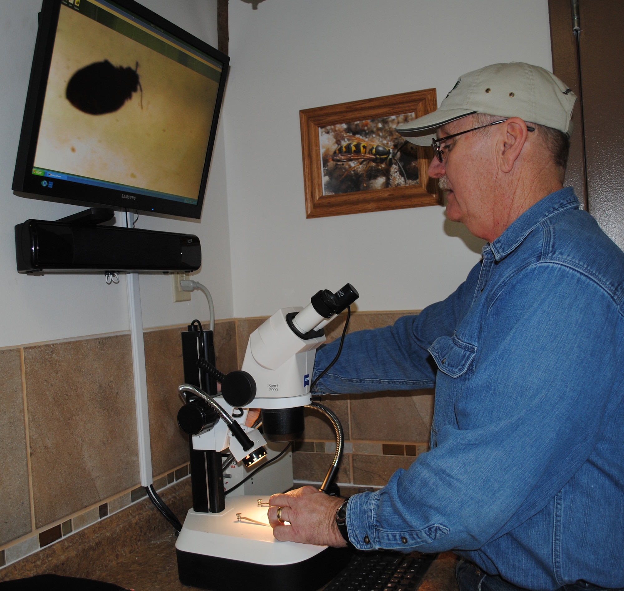 Michael Shotwell, 341st CES pest controller, examines a bedbug in a microscope as it projects onto a moniter. Pest controllers frequently use a microscope to identify insects as well as provide training for new Airmen in the career field. (U.S. Air Force photo/Airman 1st Class Katrina Heikkinen)