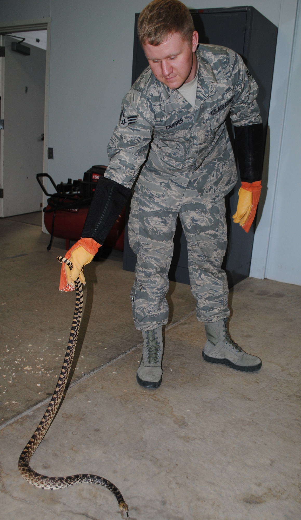 Senior Airman Randall Crippen, 341st Civil Engineer Squadron pest controller, practices handling a bull snake. Learning how to properly handle a bull snake is crucial for Malmstrom's exterminators. (U.S. Air Force photo/Airman 1st Class Katrina Heikkinen)