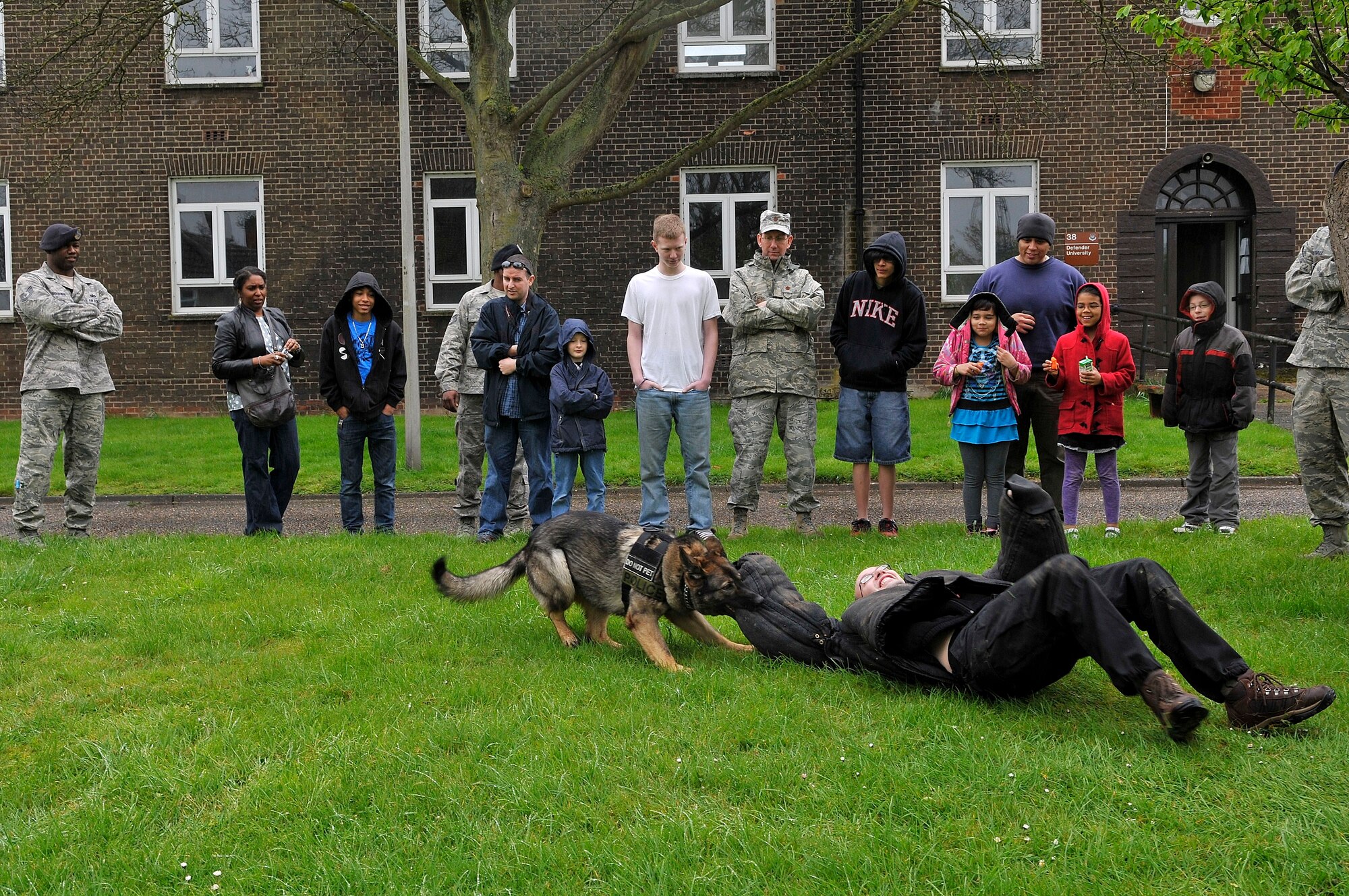 ROYAL AIR FORCE LAKENHEATH, England -- Feltwell and Lakenheath Elementary School students, parents and 48th Security Forces Squadron members watch Gina, 48th SFS military working dog, drag Tech. Sgt. Samuel Beckett, 48th SFS military working dog trainer, during a demonstration on Job Shadow Day at RAF Feltwell, England, April 27, 2012.  Job Shadow Day provided children the opportunity to see and learn about different Air Force jobs and allowed hands-on experience in an interactive environment. (U.S. Air Force photo by Staff Sgt. Connor Estes)