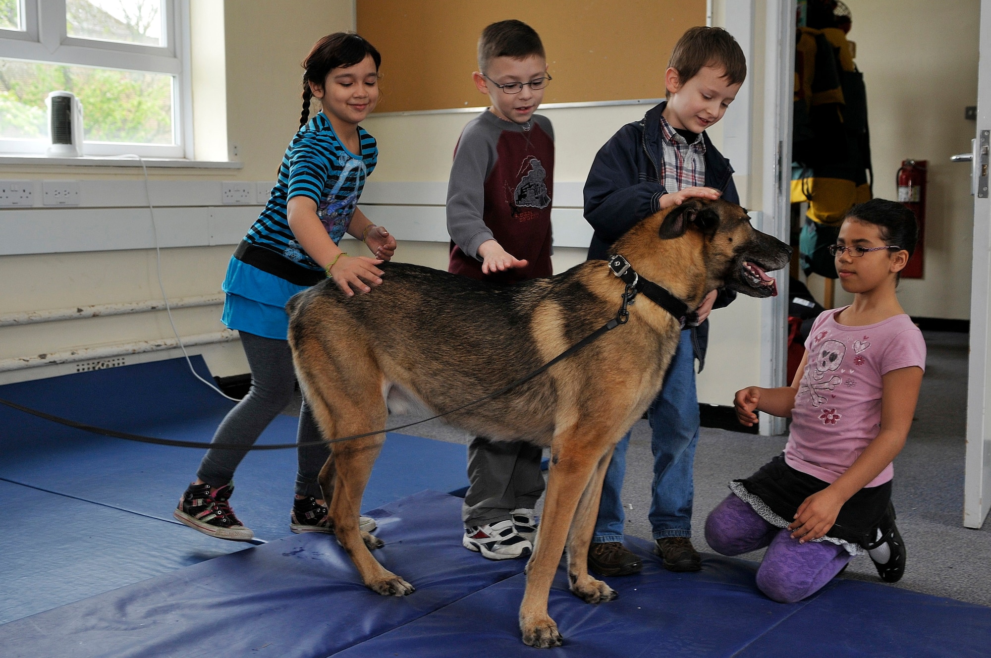 ROYAL AIR FORCE LAKENHEATH, England -- Feltwell and Lakenheath Elementary School students pet Santo, a retired 48th Security Forces Squadron military working dog, during a Job Shadow Day demonstration at RAF Feltwell, England, April 27, 2012.  Job Shadow Day provided children the opportunity to see and learn about different Air Force jobs and allowed hands-on experience in an interactive environment. (U.S. Air Force photo by Staff Sgt. Connor Estes)