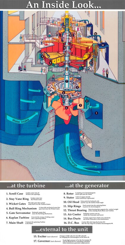 A graphical depiction of how hydropower is generated.