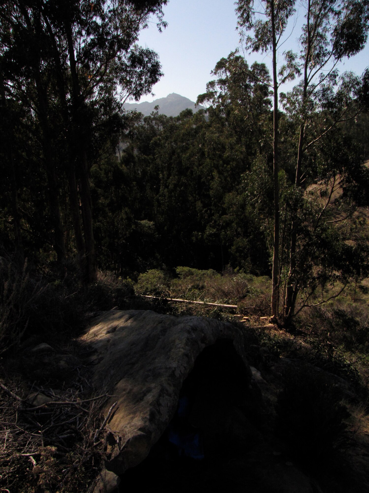 VANDENBERG AIR FORCE BASE, Calif. – Window Cave, a sacred Chumash Indian site, was overgrown by trees and brush. When 30th Civil Engineer Squadron archaeologists cleared the brush, for the first time in about 15 years the sun once again shines into the cave during the Winter Solstice, casting a beam of light onto a sun-sign petroglyph. (Courtesy photo)