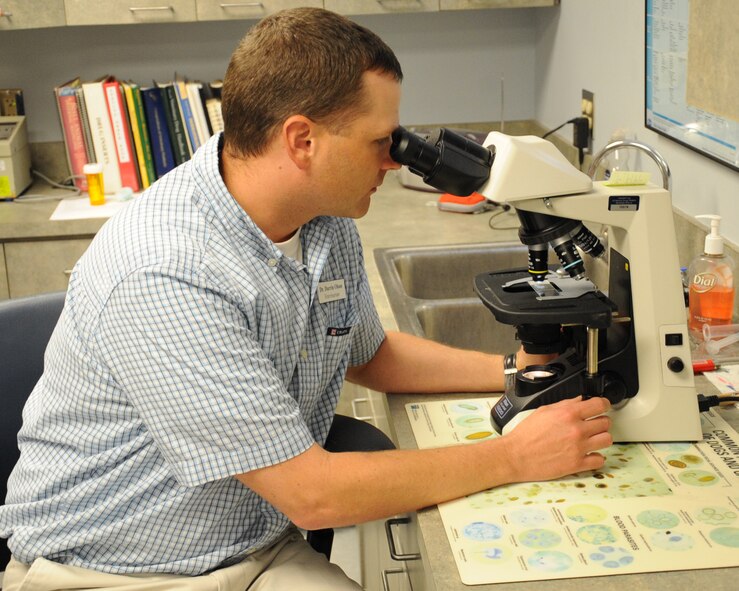 Dr. Darrin Olsen, 2nd Force Support Squadron veterinary clinic veterinarian, examines a sample of cat feces on Barksdale Air Force Base, La., May 2. Olsen was looking for any bacteria or virus in the specimen. The main goal of the veterinary clinic is to provide medical care to the military working dogs. (U.S. Air Force photo/Senior Airman Sean Martin)(RELEASED)