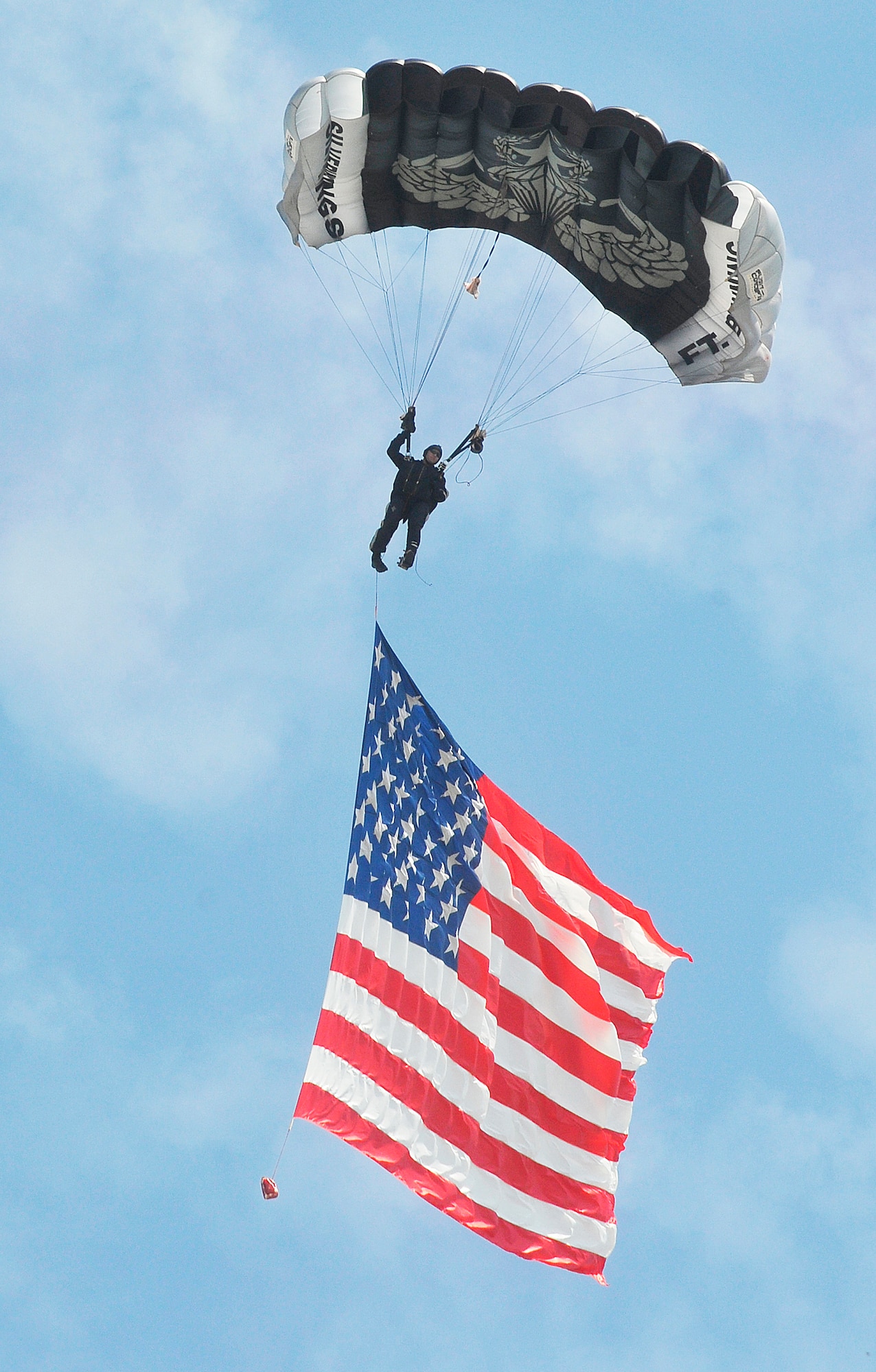A jumper with the Army Silver Wings from Ft. Benning brings the American Flag to the airfield to begin the Robins Air Show. (U. S. Air Force photo by Sue Sapp)