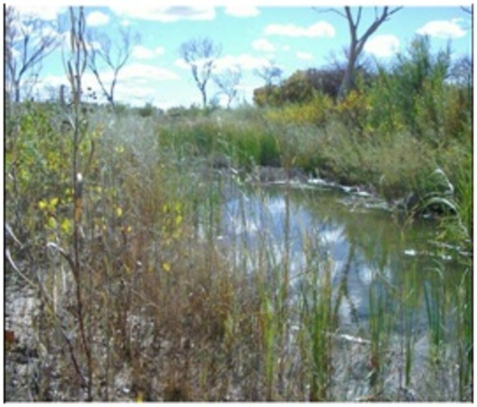 Rio Grande Environmental Management Program, C.O, N.M, AND T.X.