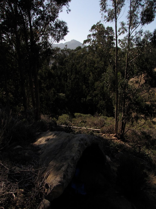 VANDENBERG AIR FORCE BASE, Calif. – Window Cave, a sacred Chumash Indian site, was overgrown by trees and brush. When 30th Civil Engineer Squadron archaeologists cleared the brush, for the first time in about 15 years the sun once again shines into the cave during the Winter Solstice, casting a beam of light onto a sun-sign petroglyph. (Courtesy photo)
