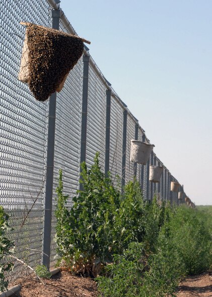 The Pest Management shop places custom beehives along the fence line to keep bees away from base housing and the flightline. Each hive releases a custom pheromone to attract the bees away from base population and to these designated locations. (U.S. Air Force photo by Airman 1st Class Charles V. Rivezzo/ Released)