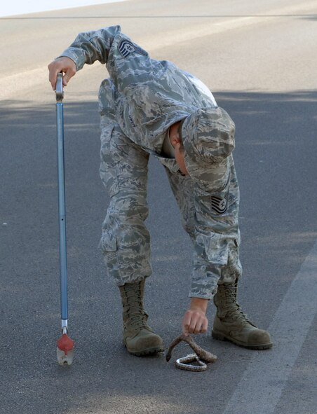 Tech. Sgt. Kevin Owen, 7th Civil Engineer Squadron pest management specialist, picks up a Bull snake while responding to an alert phone call May 1, 2012 at Dyess Air Force Base, Texas. Pest Management specialists work to keep bases free of all pests, ranging from insects to rodents. (U.S. Air Force photo by Airman 1st Class Charles V. Rivezzo/ Released)