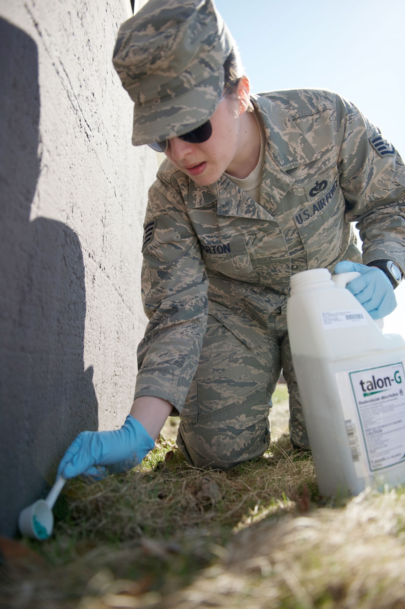 Air Force Staff Sgt. Irney Parton puts rodenticide in a vole hole on
JBER. Voles are a nuisance. (U.S. Air Force photo/David Bedard)