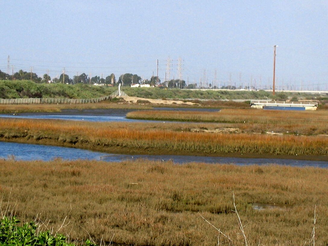 An environmental restoration project will remove 50,000 cubic yards of material from a marsh at the mouth of the Santa Ana River, improving degraded habitat that has adversely affected endangered species that use it as a nesting gound. 
