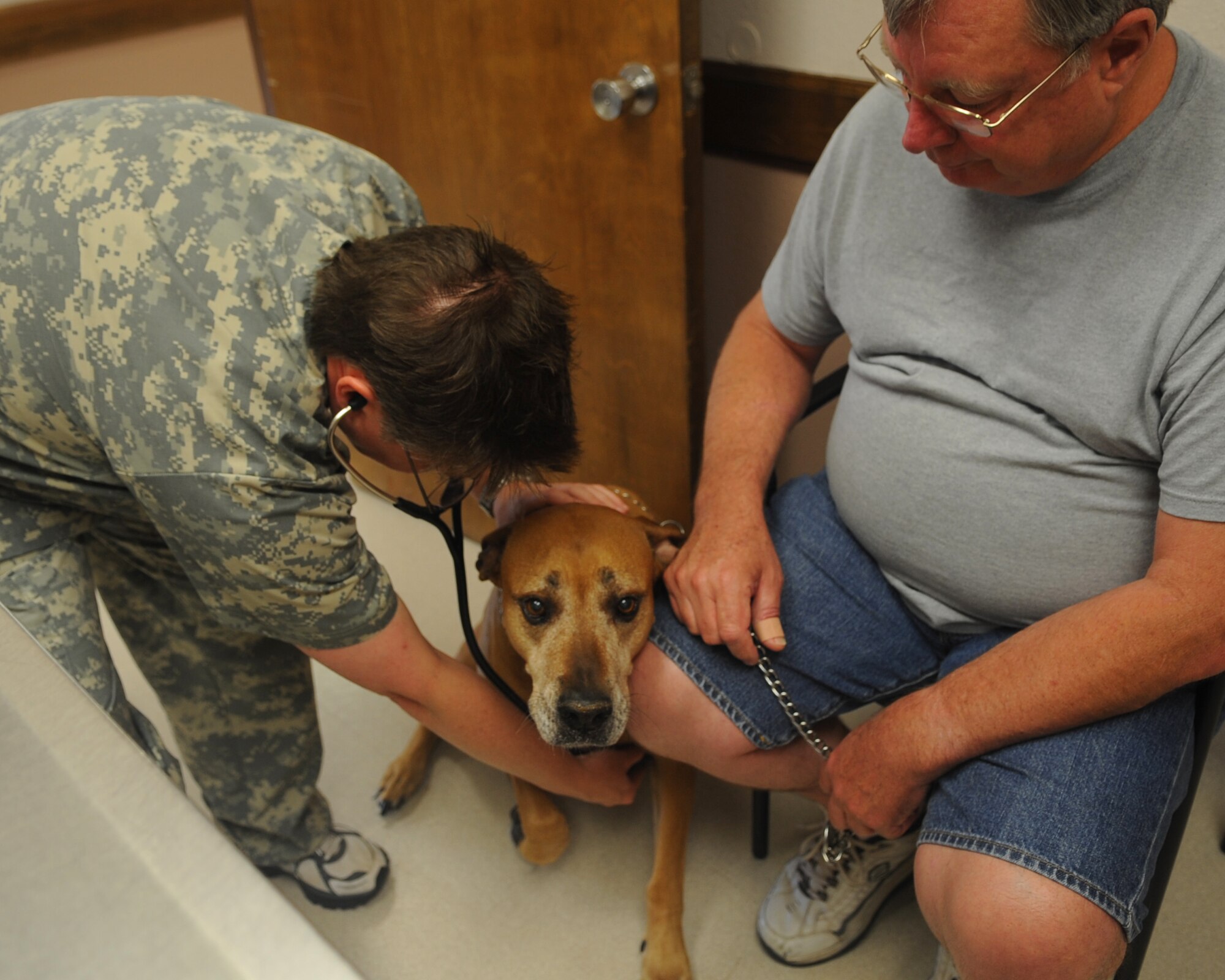 Dr. Belinda Ruark, veterinary technician, listens to Bears heartbeat before getting a shot May 2, 2012, at the Dyess Veterinary Clinic at Dyess Air Force Base, Texas. The clinic provides pet services such as: immunizations, treatments for skin disorders, eye and ear infection treatments, micro-chipping, health certificates, and spay and neuter services. Heart worm prevention medication, flea and tick medication, vitamins, dental kits and shampoos are available for purchase at the resale counter. Base housing residents are required to register their pets with the clinic. For more information contact the clinic at (325) 696-3366. (U.S. Air Force photo by Airman 1st Class Cierra Bullock/Released)