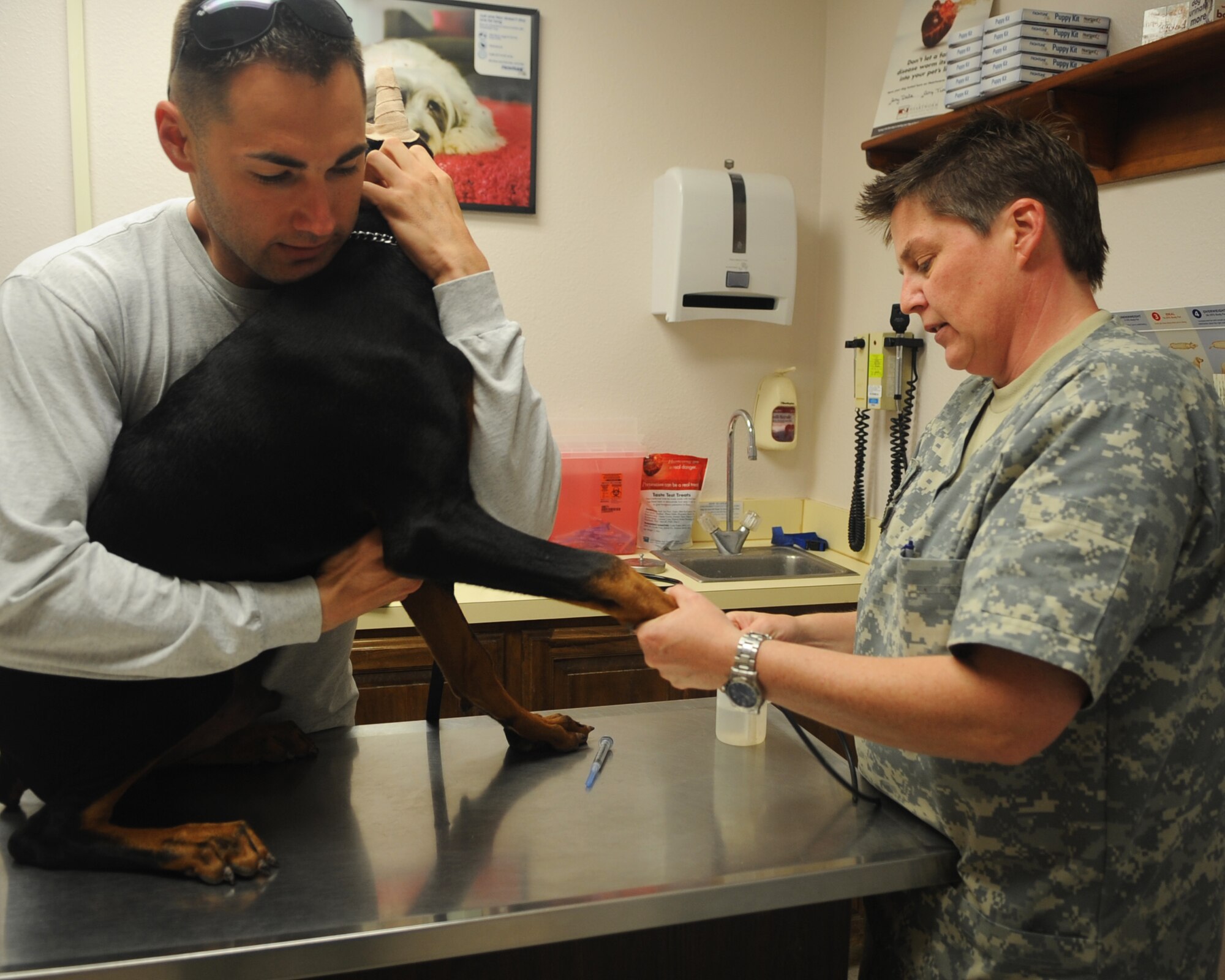 Senior Airman Nathan Dowling, 7th Communication Squadron, holds on to his dog Ramses, as Dr. Belinda Ruark, veterinary technician, draws blood for the Fluorescent Antibody Virus Neutralization (FAVN) May 2, 2012, at the Dyess Veterinary Clinic at Dyess Air Force Base, Texas. FAVN measures response of immune system to rabies vaccine. (U.S. Air Force by Airman 1st Class Cierra Bullock/Released)