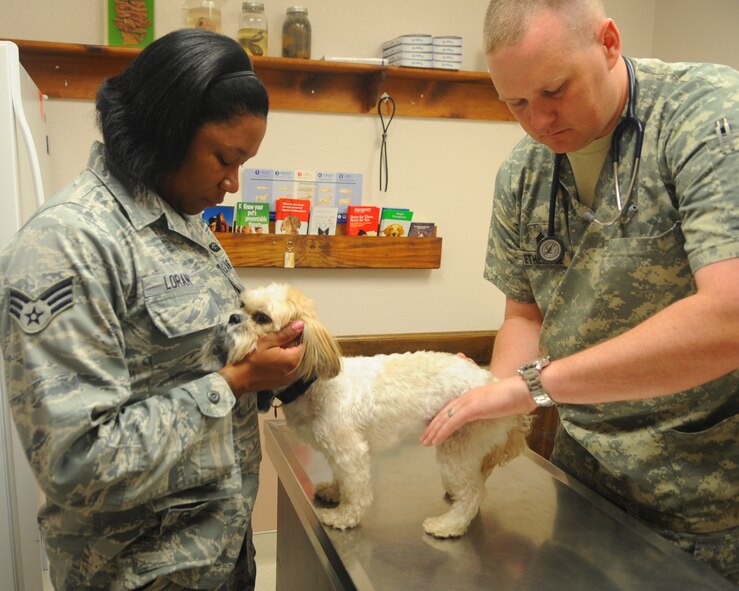 Senior Airman Denise Loran, left, 7th Force Support Squadron, holds her dog Puppi while U.S. Army Sgt. Anthony Etheridge, veterinary technician, checks his pulse May 2, 2012, at the Dyess Veterinary Clinic at Dyess Air Force Base, Texas. The clinic provides pet services such as: immunizations, treatments for skin disorders, eye and ear infection treatments, micro-chipping, health certificates, and spay and neuter services. Heart worm prevention medication, flea and tick medication, vitamins, dental kits and shampoos are available for purchase at the resale counter. Base housing residents are required to register their pets with the clinic. For more information contact the clinic at (325) 696-3366. (U.S. Air Force photo by Airman 1st Class Cierra Bullock/ Released)