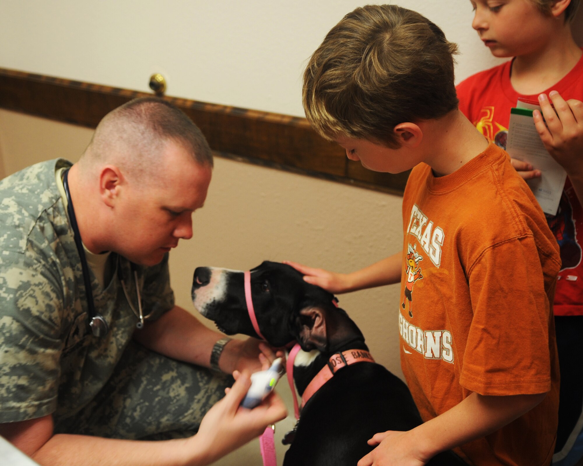 U.S. Army Sgt. Anthony Etheridge, veterinary technician, checks Josie’s ears, May 2, 2012, at the Dyess Veterinary Clinic on Dyess Air Force Base, Texas. The clinic provides pet services such as: immunizations, treatments for skin disorders, eye and ear infection treatments, micro-chipping, health certificates, and spay and neuter services. Heart worm prevention medication, flea and tick medication, vitamins, dental kits and shampoos are available for purchase at the resale counter. Base housing residents are required to register their pets with the clinic. For more information contact the clinic at (325) 696-3366. (U.S. Air Force photo by Airman 1st Class Cierra Bullock/Released)
