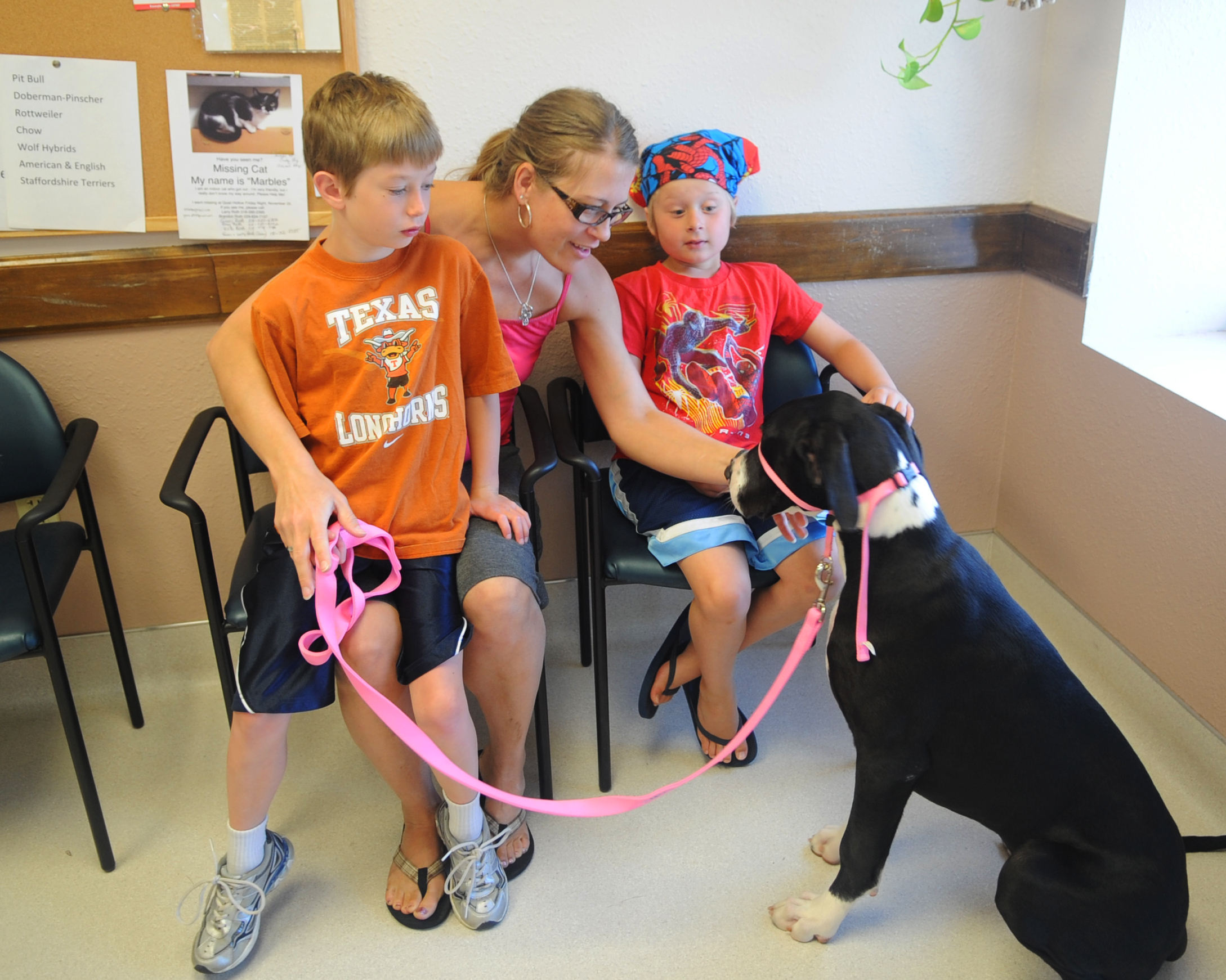 A busy day at the Dyess Veterinary Clinic